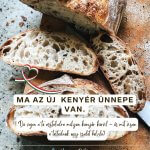 Augusztus 20-án a kenyeret ünnepeljük. Illata, ropogós héja, puha belseje sokunkban gyerekkori emlékeket idéz. De amikor a női egészség és a hormonális egyensúly felől közelítjük meg a kérdést, a kenyér már nem csupán hagyomány vagy élvezet – hanem komoly dilemmák forrása is.