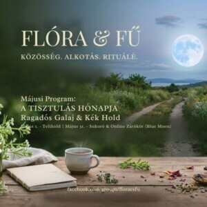 A Flóra & Fű több, mint egy alkotóműhely: ez egy biztonságos tér, ahol a természet ciklusait hívjuk segítségül a női szervezet finomhangolásához. Az évkör mentén haladva gyűjtjük össze azokat a „gyomokat” és vadvirágokat, amelyek évezredek óta támogatják a női egészséget – a hormonális egyensúlyt, a belső anyagcsere-folyamatokat, a mentális erőt.