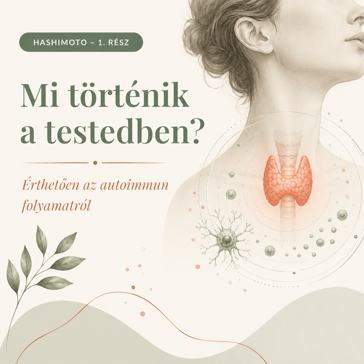Hashimoto – Mi történik a testedben?