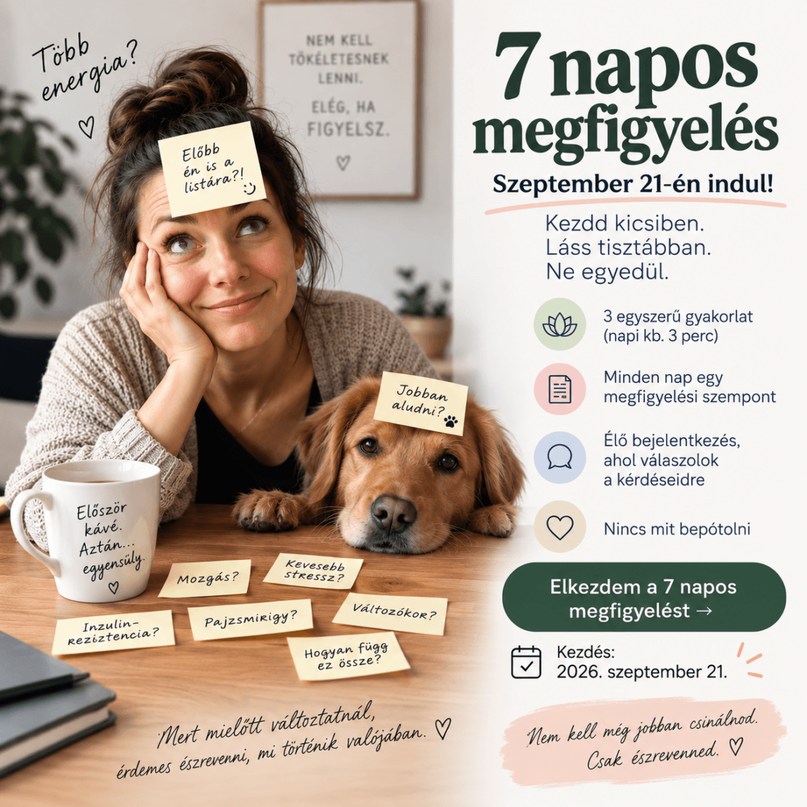 7 napos megfigyelés Egy nő a kutyájával teljesen kiborulva a sok feladattól és önmaga hátulra sorolásától